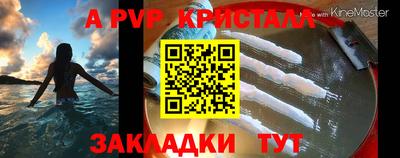 spice Будённовск