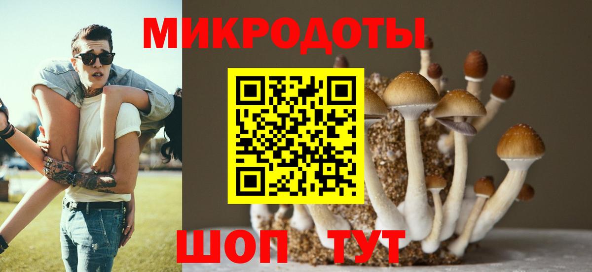 Кудрово  Псилоцибиновые грибы GOLDEN TEACHER  Вход с VPN 