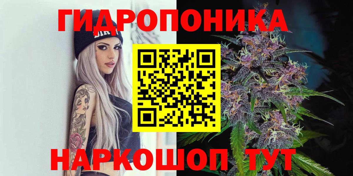 Канабис Amnesia Кудрово